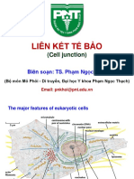 B13 Lien Ket Te Bao