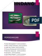 Pemindangan Presentasi