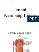 Tumbuh Kembang Lidah Kelompok 7