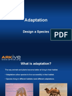 7-11yrs - Adaptation - Design a Species Activity - Classroom Presentation