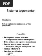 14 Sistema Tegumentar