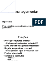 Sistema tegumentar e funções da pele