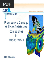 CAEA v15 ANSYS Composite Damage