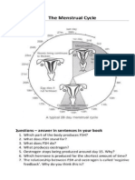 Form 4 Worksheet Menstrual Cycle