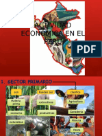 Actividad Económica en El Peru