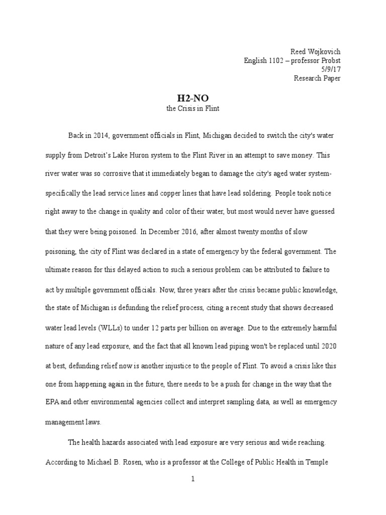 water crisis essay
