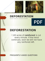 Deforestation