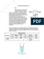 247963103-Reactor-Pachuca.pdf