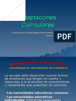 Adaptaciones Curriculares