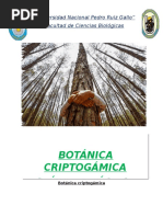 GUÍA-DE-PRÁCTICA-Alejandra.docx