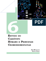 Capitulo06 PDF