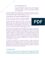 expo final anato.docx