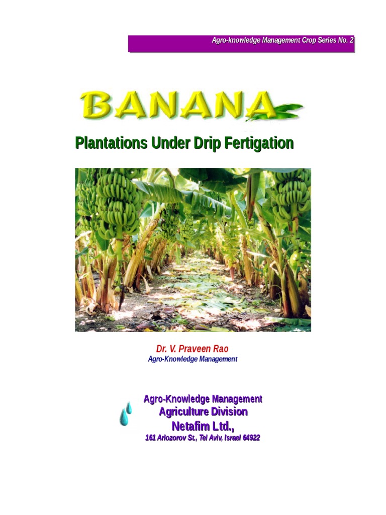 Banana Growing Manual1 NETAFIM PDF Banana Soil