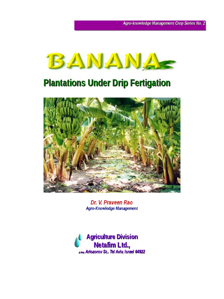 Banana Growing Manual2 NETAFIM PDF Evapotranspiration Soil