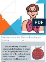 BIO Respiratory System