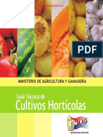 Guia Tecnica de Cultivos Horticolas Junio 2012 Mag