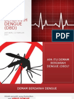 Demam Berdarah Dengue (Dbd)