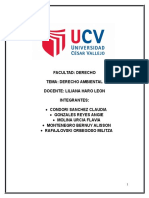 Derecho Ambiental Monografia