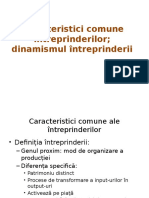 Caracteristici Comune Întreprinderilor