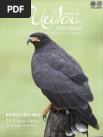 Urutau Electronico - No 8 - Oct Nov Dic 2016 - Ano 14 - Guyra Paraguay - Portalguarani