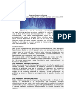 SONIDOS Y HEMISFERIOS CEREBRALES.pdf