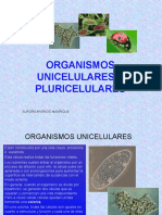 Organismos Unicelulares y Pluricelulares