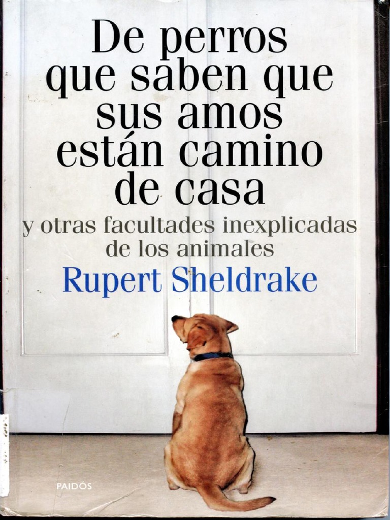 De Perros Que Saben Que Sus Amos Estan Camino De Casapdf