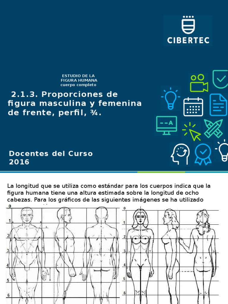 Proporciones de la figura humana | PDF | Longitud | Naturaleza