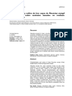 Caracterización y Cultivo de Tres Cepas de Pleurotus Eryngii (Fries) Quélet sobre sustratos basados en residuos agroalimentarios