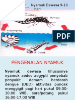 Pertemuan Kader Jumantik