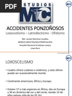 Accidentesponzonosos