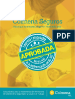 278442645-Guia-Practica-Para-La-Implementacion-Del-SG-SST.pdf