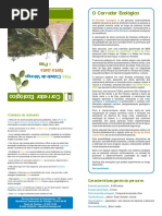 Percurso Corredor Ecológico de Valongo