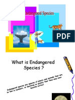 32242758 Project on Endangered Species