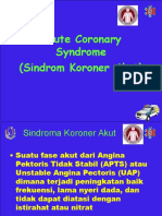 Acute Coronary Syndrome (Sindrom Koroner Akut)