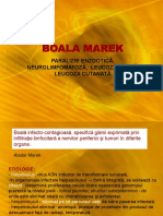  Boala Marek