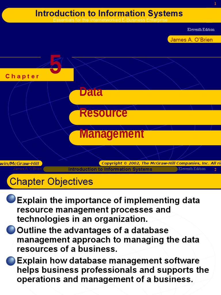 CH 05 Ok DataResourceManagement | PDF | Databases | Metadata