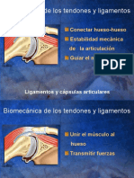 Biomecanica Tejidos Tendon Ligamento