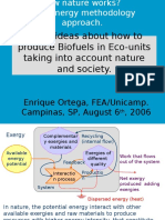 How nature works? The Emergy methodology approach for producing Biofuels