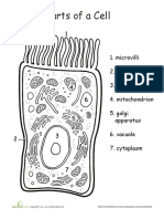 Parts of A Cell: 1. Microvilli 2. Cell Membrane 3. Nucleus 4. Mitochondrion 5. Golgi Apparatus 6. Vacuole 7. Cytoplasm