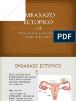 Embarazoectopico 100519144713 Phpapp02