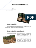 Deforestación Planificada