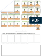 Projeto Alimentação Saudável Maternal