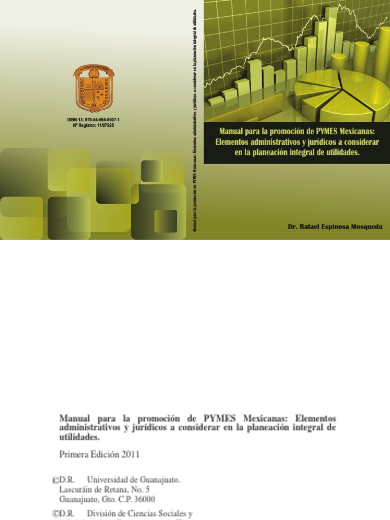 Manual De Pymes Mexicanas Administración Y Leyes Pdf Pequeñas Y