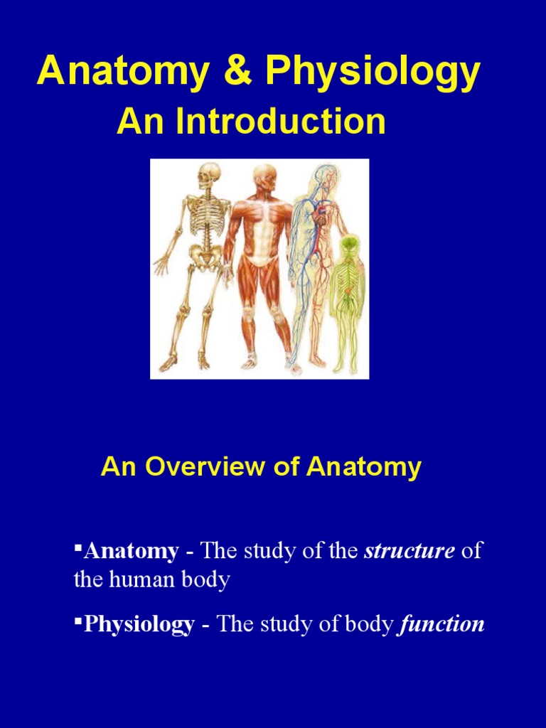 ANATOMY AND PHYSIOLOGY LECTURE NOTES POWERPOINT PDF intelligence overview