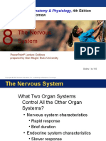 The Nervous System: Essentials of Anatomy & Physiology