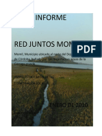 Informe Mes Enero de 2010 Momil