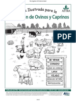 132-ovinos_ilustrada.pdf