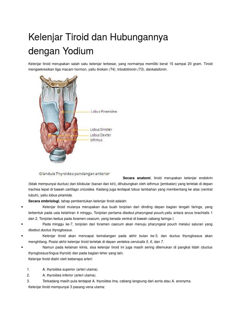 80363207 Kelenjar Tiroid  Dan Hubungannya Dengan docx