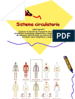 Sistema Circulatorio, 5to